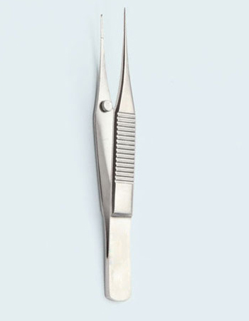  Forcep Bonn