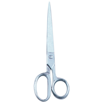 Taylor Scissor