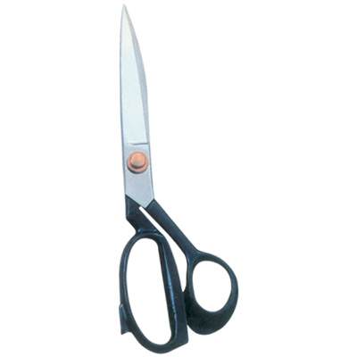 Taylor Scissor