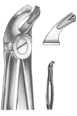 Extracting Forceps English pattern 