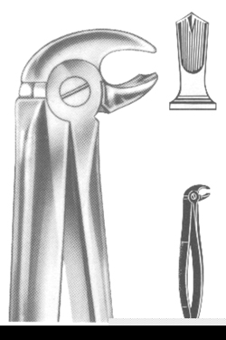Extracting Forceps English pattern 