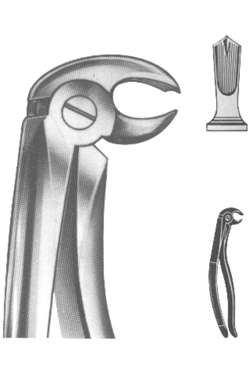 Extracting Forceps English pattern 