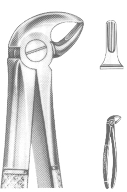 Extracting Forceps English pattern 