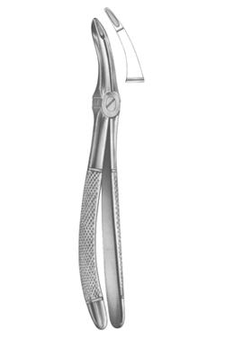 Extracting Forceps English pattern 