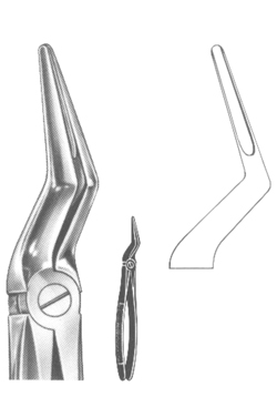 Extracting Forceps English pattern 