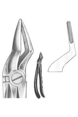 Relax Extracting Forceps 