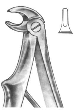 Extracting Forceps For Children - English Pattern 