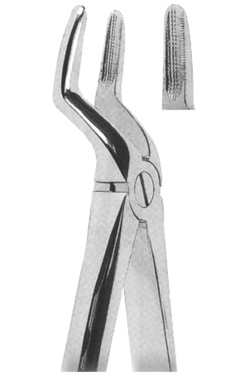 Extracting Forceps English pattern 