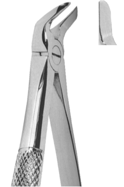 Extracting Forceps English pattern 