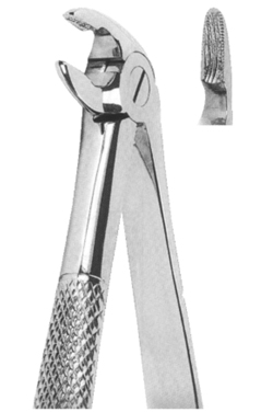 Extracting Forceps English pattern 