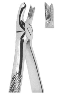 Extracting Forceps English pattern 