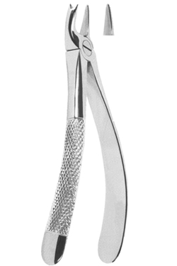 Extracting Forceps English pattern 