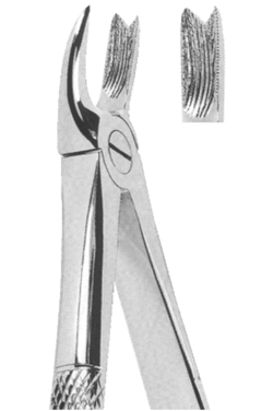 Extracting Forceps English pattern 
