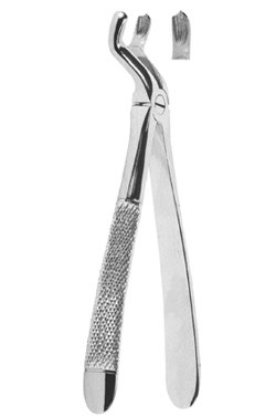 Extracting Forceps English pattern 