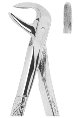Extracting Forceps English pattern 