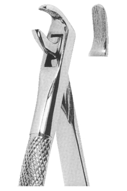 Extracting Forceps English pattern 