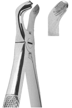 Extracting Forceps English pattern 