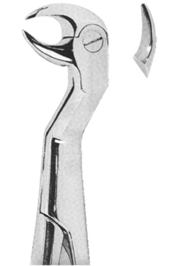 Extracting Forceps English pattern 