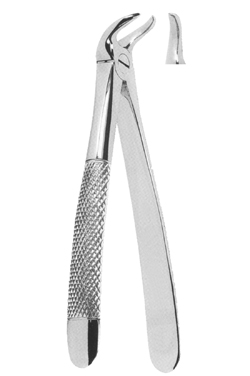 Extracting Forceps English pattern 