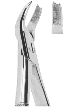 Extracting Forceps English pattern 