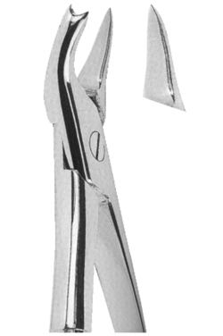 Extracting Forceps English pattern 