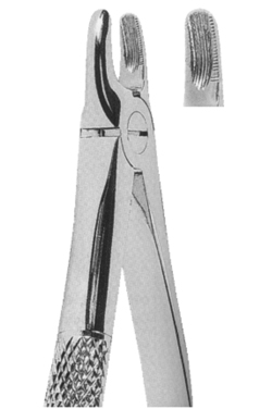 Extracting Forceps English pattern 