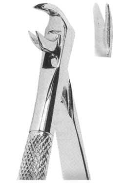 Extracting Forceps English pattern 