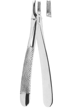 Extracting Forceps English pattern 