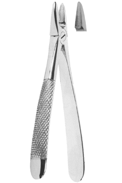 Extracting Forceps English pattern 