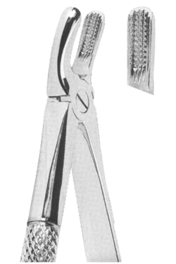 Extracting Forceps English pattern 