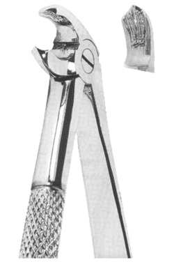 Extracting Forceps English pattern 