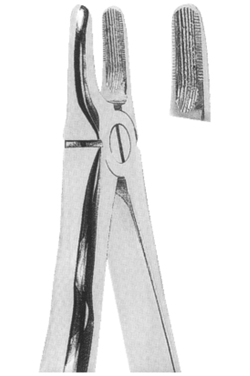 Extracting Forceps With Anatomically Shaped Handle