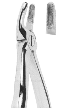 Extracting Forceps With Anatomically Shaped Handle