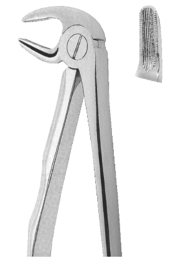 Extracting Forceps With Anatomically Shaped Handle