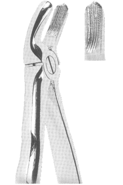 Extracting Forceps With Anatomically Shaped Handle