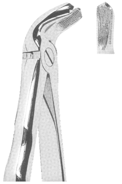 Extracting Forceps With Anatomically Shaped Handle