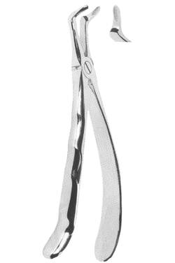 Extracting Forceps With Anatomically Shaped Handle