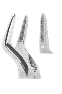 Extracting Forceps With Anatomically Shaped Handle