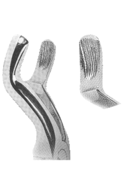 Extracting Forceps With Anatomically Shaped Handle