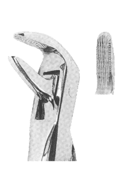 Extracting Forceps With Anatomically Shaped Handle