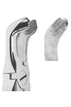 Extracting Forceps With Anatomically Shaped Handle