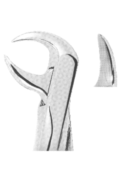 Extracting Forceps With Anatomically Shaped Handle