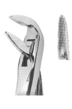 Extracting Forceps With Anatomically Shaped Handle