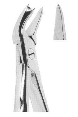 Extracting Forceps With Anatomically Shaped Handle