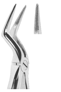 Extracting Forceps With Anatomically Shaped Handle