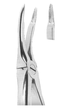 Extracting Forceps With Anatomically Shaped Handle