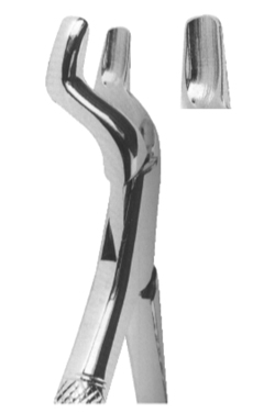 Extracting Forceps American pattern 