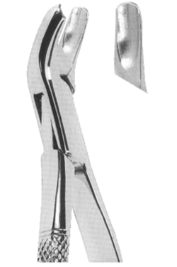 Extracting Forceps American pattern 