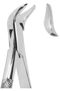 Extracting Forceps American pattern 
