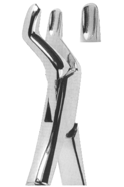 Extracting Forceps American pattern 